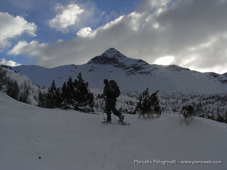 03 Io Siria Asia kira in cammino verso il rifugio..sullo sfondo il Pizzo Scalino.JPG